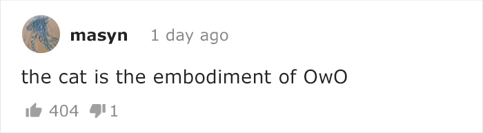 Pixar Makes People Cry By Presenting 'Kitbull', A Short Film About A Friendship Of Abused Pitbull And Stray Kitten Pixar Makes People Cry By Presenting 'Kitbull', A Short Film About A Friendship Of Abused Pitbull And Stray Kitten