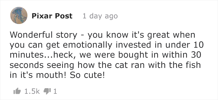 Pixar Makes People Cry By Presenting 'Kitbull', A Short Film About A Friendship Of Abused Pitbull And Stray Kitten Pixar Makes People Cry By Presenting 'Kitbull', A Short Film About A Friendship Of Abused Pitbull And Stray Kitten