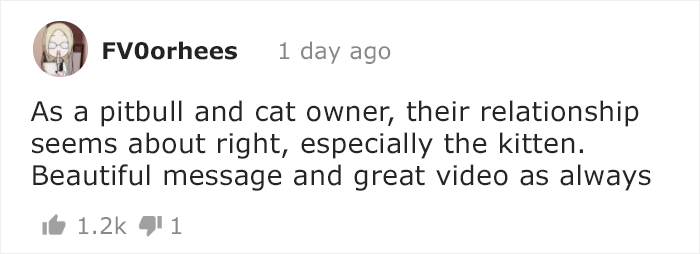 Pixar Makes People Cry By Presenting 'Kitbull', A Short Film About A Friendship Of Abused Pitbull And Stray Kitten Pixar Makes People Cry By Presenting 'Kitbull', A Short Film About A Friendship Of Abused Pitbull And Stray Kitten