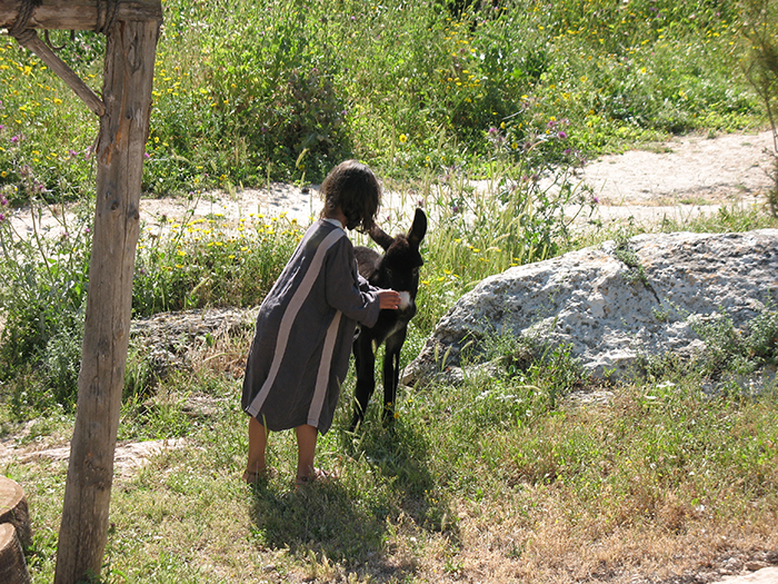 Poverty Experienced In Childhood May Leave Lasting Effects On Cognitive Skills In Older Age