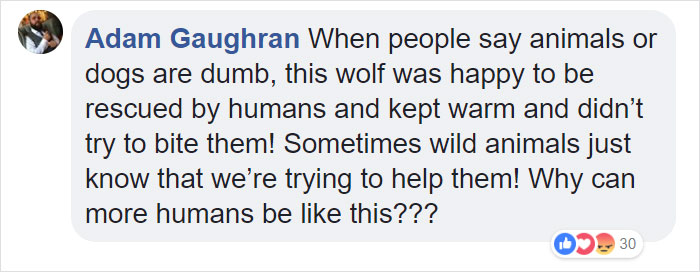 Two Workers In Estonia Rescued “Dog” From Frozen Lake, Brought It To Shelter Without Knowing It Was A Wolf Two Workers In Estonia Rescued “Dog” From Frozen Lake, Brought It To Shelter Without Knowing It Was A Wolf