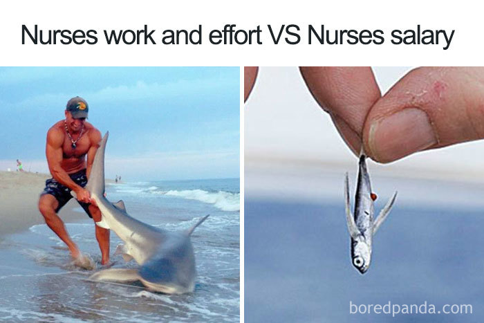 Man wrestling shark vs tiny fish represents nurse memes about salary disparity.