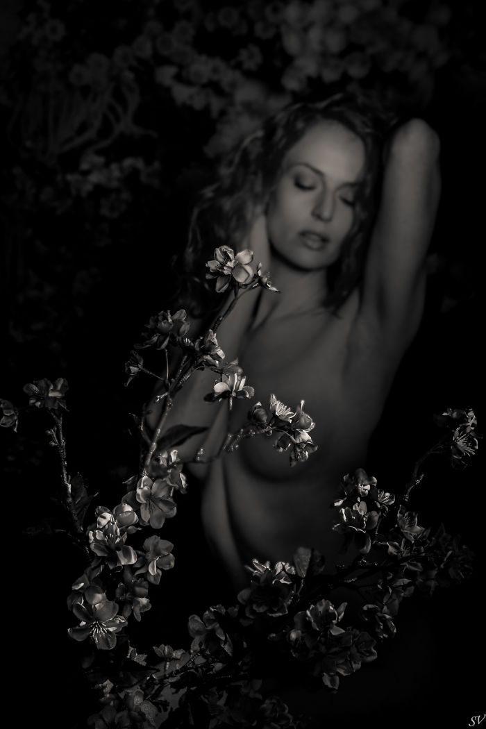 We Photograph Boudoir On A Creative Way