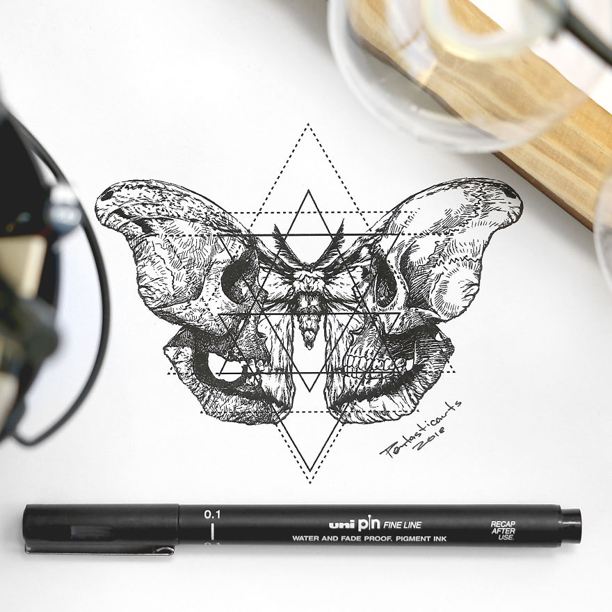 Hidden Drawings By Joseph Catimbang