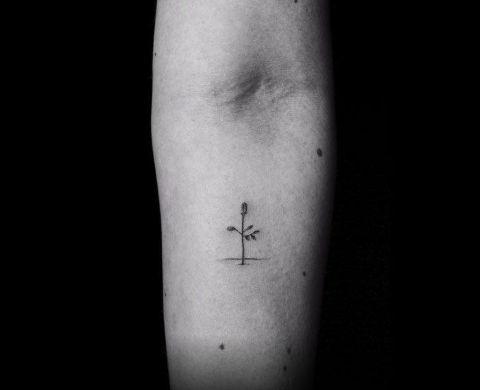 Minimalist tattoo of a plant stem on forearm, part of a 'motion tattoo' project by an artist inking 70 strangers.