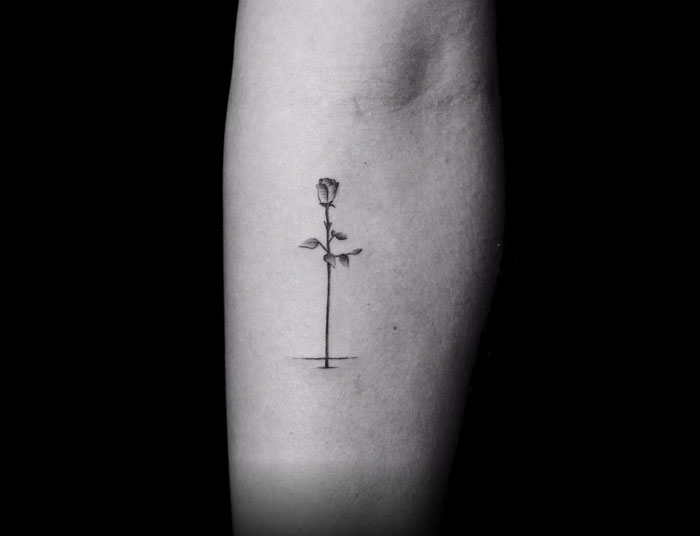 Tattoo of a single rose on an arm, part of an artist's motion tattoo project involving different frames. Tattoo of a single rose on an arm, part of an artist's motion tattoo project involving different frames.