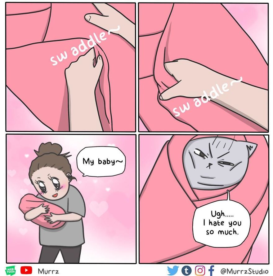 New-Funny-Everyday-Comics-Murrzstudio