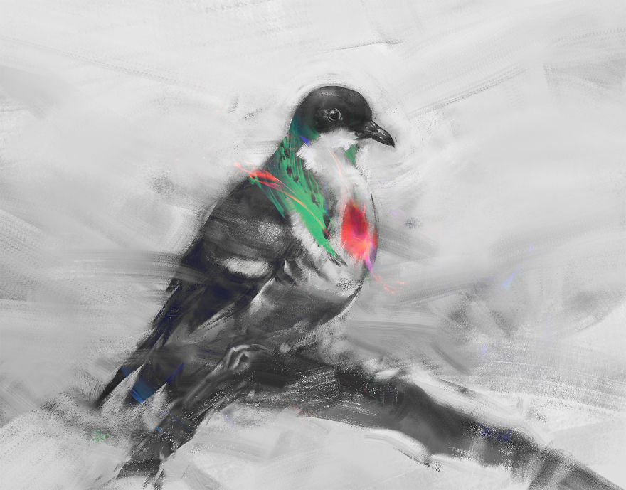 Negros Bleeding Heart Pigeon