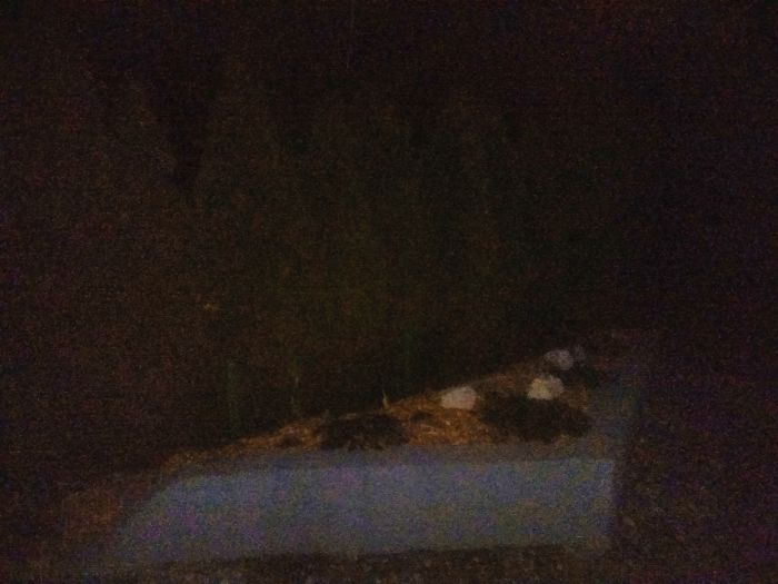 Neighbors Kept Running Over This Family's Fence, So Dad Replaces It With Concrete And Wrecks 8 Of Their Cars Neighbors Kept Running Over This Family's Fence, So Dad Replaces It With Concrete And Wrecks 8 Of Their Cars