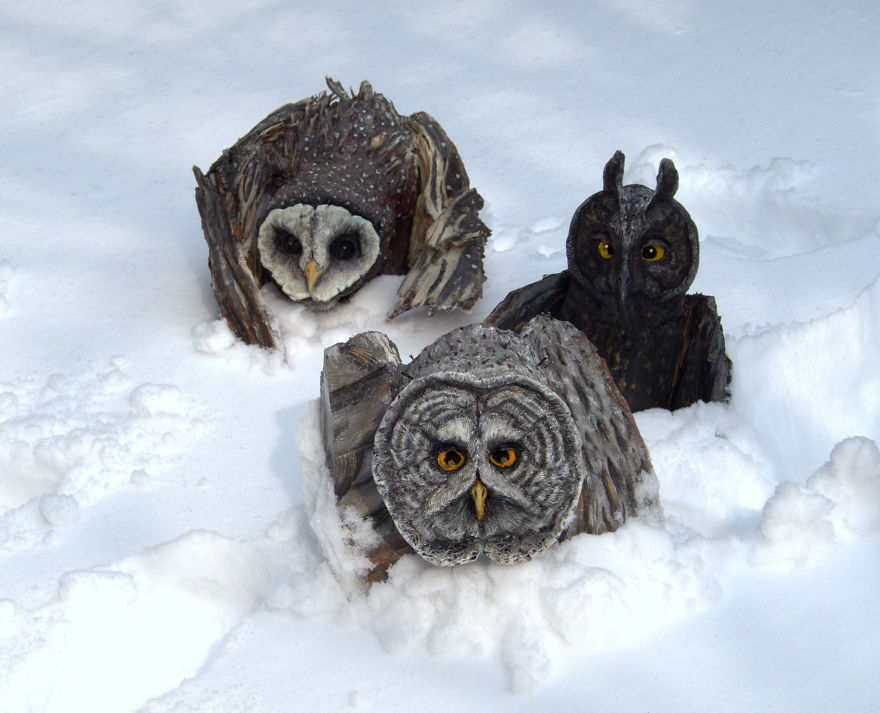 I Use Wood And Clay To Create Realistic Owl Sculptures I Use Wood And Clay To Create Realistic Owl Sculptures