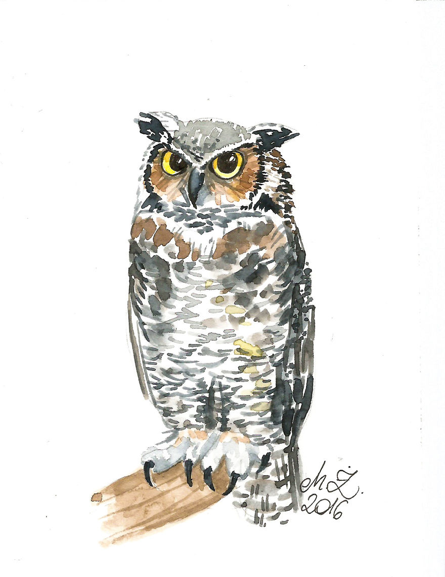 I Paint Tiny, Cute Owls On A Daily Basis And Can't Stop (17 Illos)