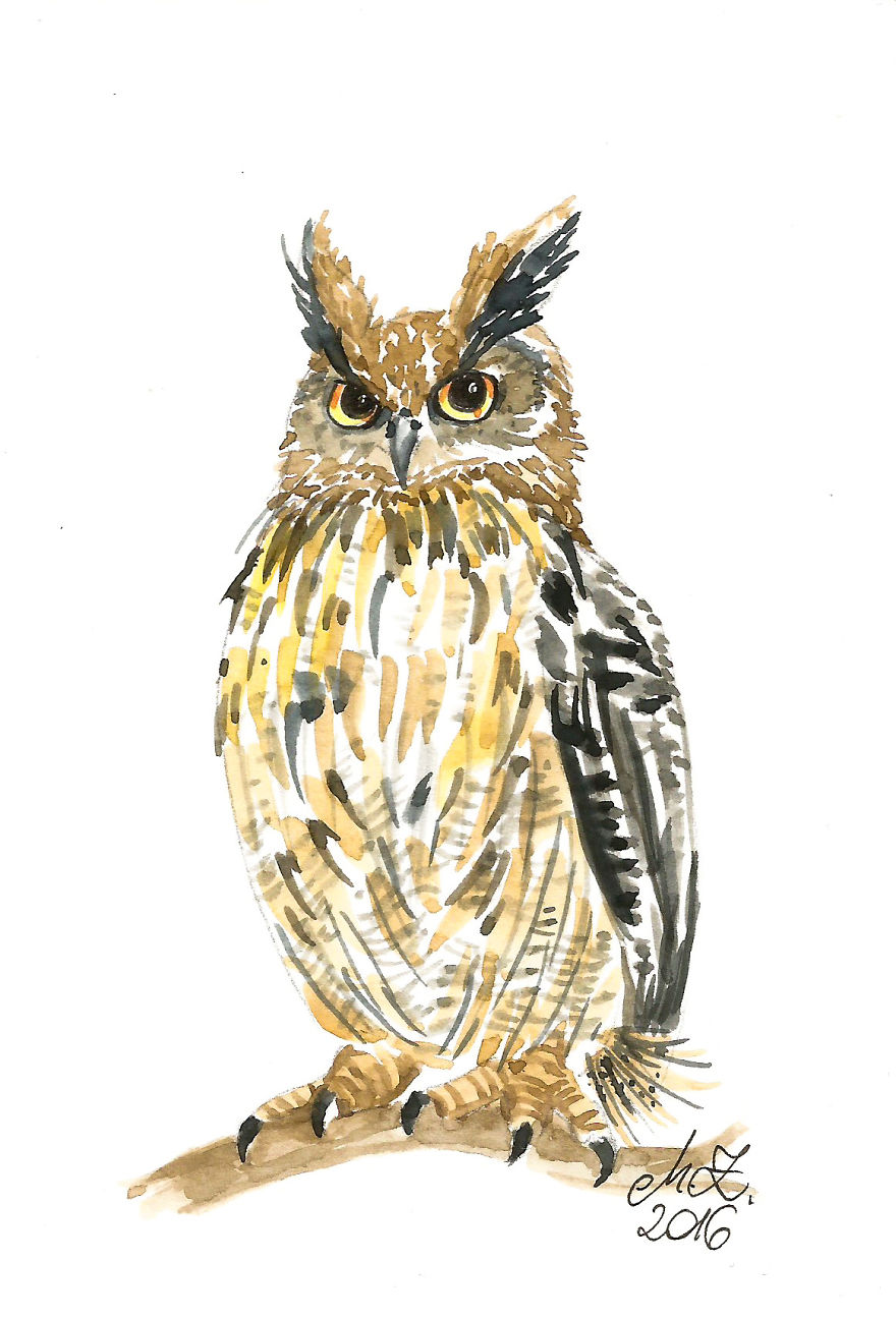I Paint Tiny, Cute Owls On A Daily Basis And Can't Stop (17 Illos)