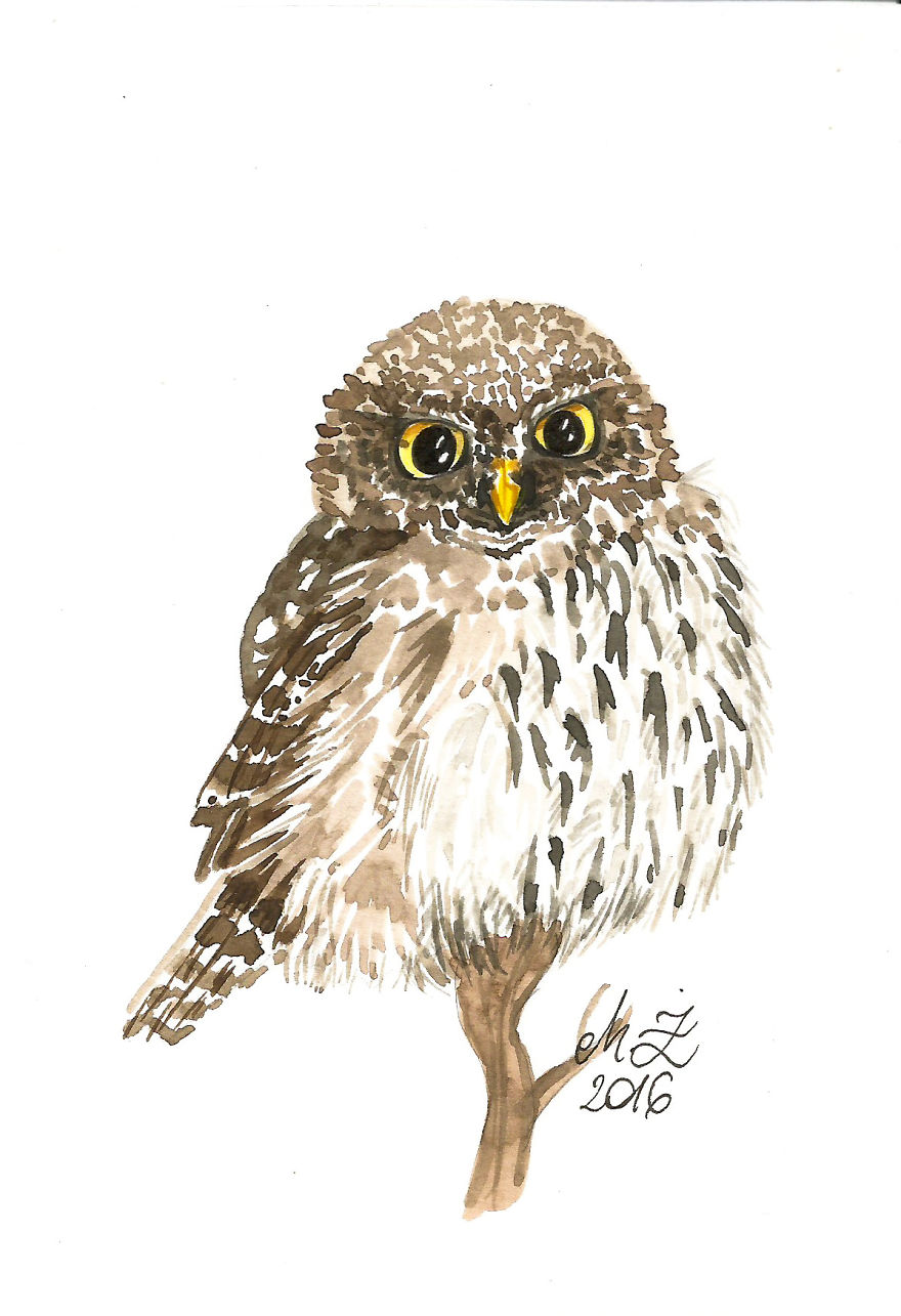 I Paint Tiny, Cute Owls On A Daily Basis And Can't Stop (17 Illos)
