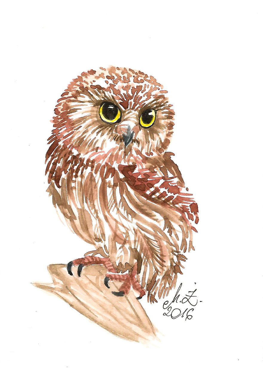 I Paint Tiny, Cute Owls On A Daily Basis And Can't Stop (17 Illos)
