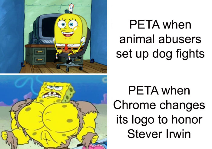 Peta-Steve-Irwin-Criticism-Reactions