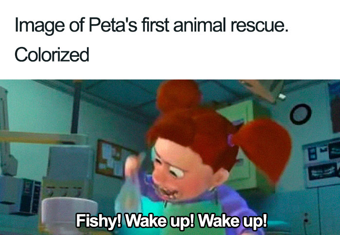 Peta-Steve-Irwin-Criticism-Reactions