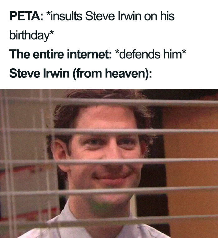 Peta-Steve-Irwin-Criticism-Reactions