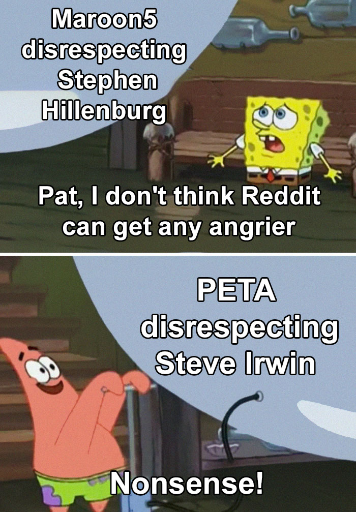 Peta-Steve-Irwin-Criticism-Reactions