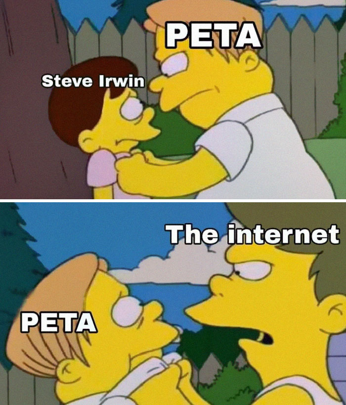 Peta-Steve-Irwin-Criticism-Reactions