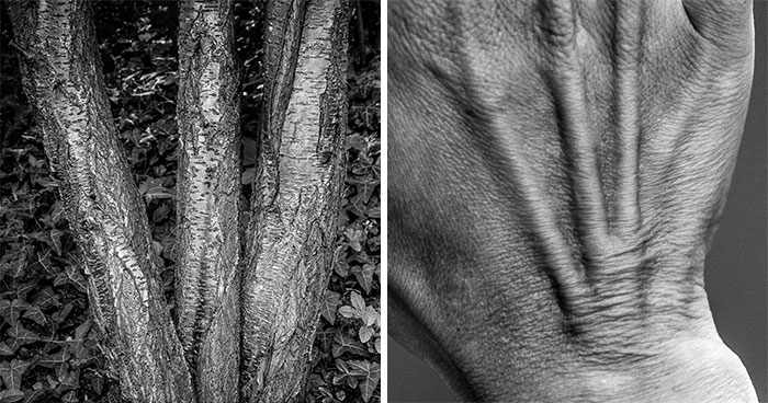 I Show The Beauty Of The Human Body By Combining It With Elements Of Nature