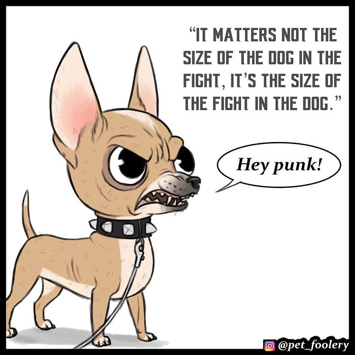 Pixie And Brutus Comics Already Have Over 1,4M Followers And These Are Their 6 Newest Strips