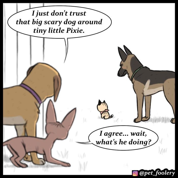 Pixie And Brutus Comics Already Have Over 1,4M Followers And These Are Their 6 Newest Strips Pixie And Brutus Comics Already Have Over 1,4M Followers And These Are Their 6 Newest Strips