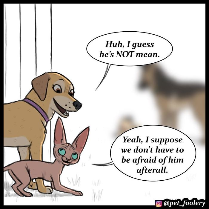 Pixie And Brutus Comics Already Have Over 1,4M Followers And These Are Their 6 Newest Strips