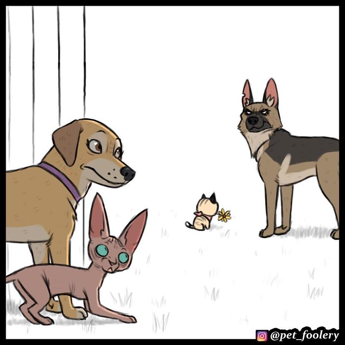 Pixie And Brutus Comics Already Have Over 1,4M Followers And These Are Their 6 Newest Strips Pixie And Brutus Comics Already Have Over 1,4M Followers And These Are Their 6 Newest Strips