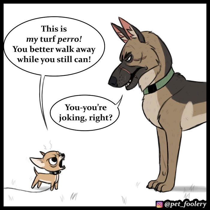 Pixie And Brutus Comics Already Have Over 1,4M Followers And These Are Their 6 Newest Strips Pixie And Brutus Comics Already Have Over 1,4M Followers And These Are Their 6 Newest Strips