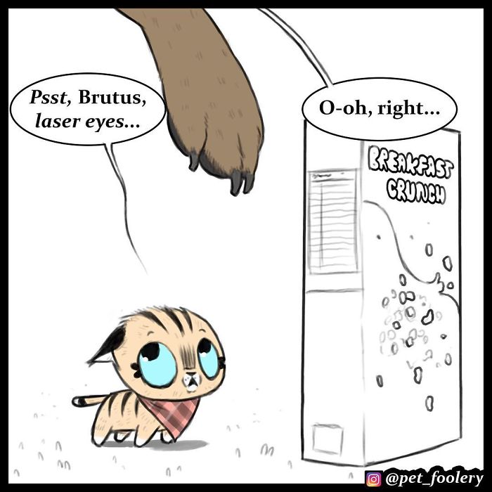 Pixie And Brutus Comics Already Have Over 1,4M Followers And These Are Their 6 Newest Strips