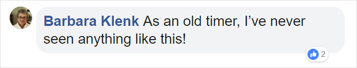 Farmer Surprised To Find 'Ghost Apples' On Trees After Polar Vortex