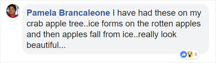 Farmer Surprised To Find 'Ghost Apples' On Trees After Polar Vortex