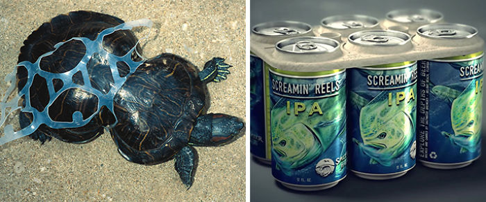 Brewery Creates Edible Six-Pack Rings To Avoid Plastic Pollution