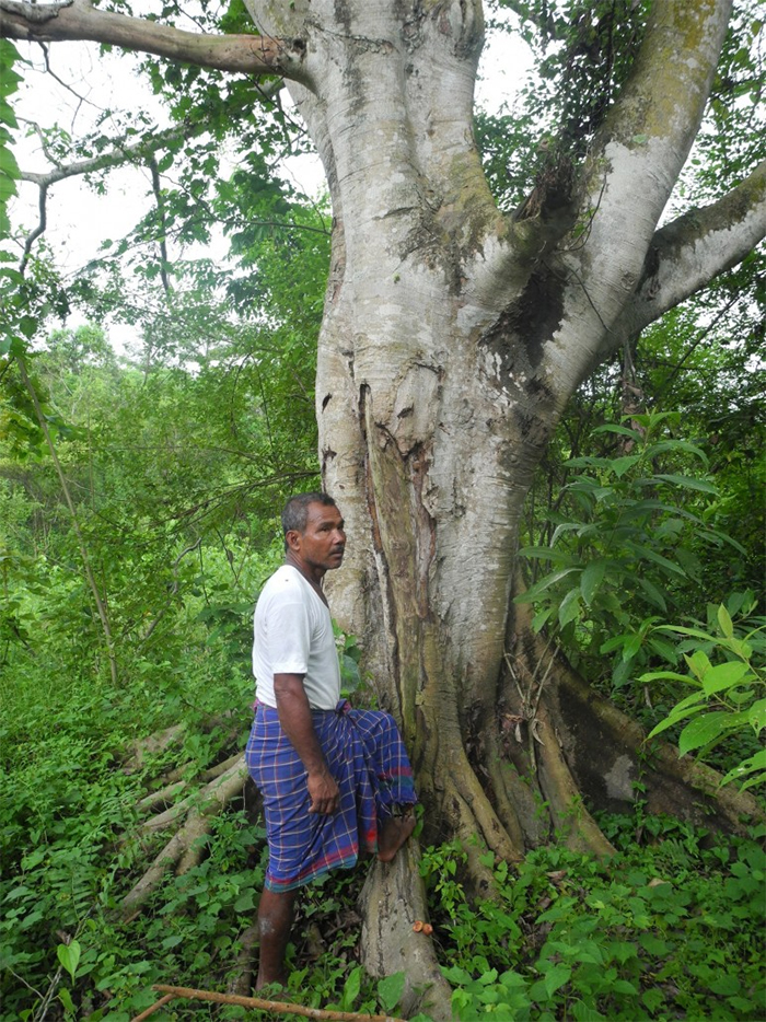 Man Plants A Tree Every Day For 40 Years Now Has A Forest Bigger Than Central Park