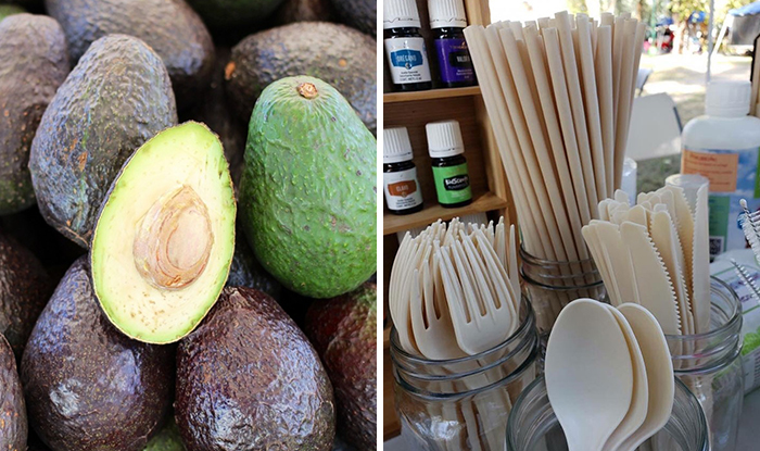 Mexican Company Creates Single-Use Cutlery Made From Avocado Seeds