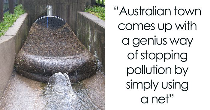 13 Feel-Good Stories About People Saving Our Planet