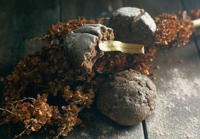 Curly Dock Conversation Rolls