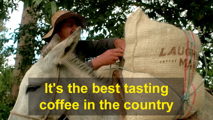 People Are Cracking Up At Hugh Jackman's Ad For Ryan Reynolds' Gin Company