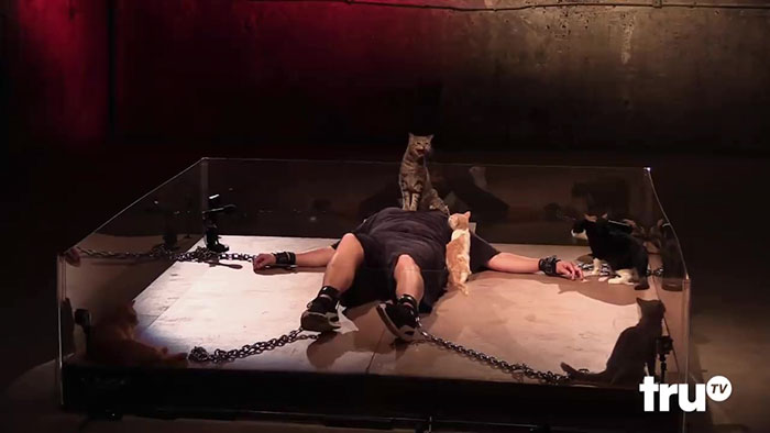 Man With Immense Fear Of Cats Gets Forced To Experience The Cuteness Of Kittens