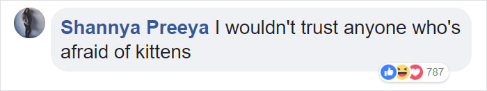 Man With Immense Fear Of Cats Gets Forced To Experience The Cuteness Of Kittens