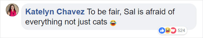 Man With Immense Fear Of Cats Gets Forced To Experience The Cuteness Of Kittens