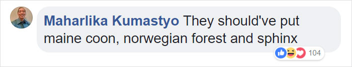 Man With Immense Fear Of Cats Gets Forced To Experience The Cuteness Of Kittens Man With Immense Fear Of Cats Gets Forced To Experience The Cuteness Of Kittens