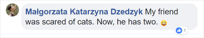 Man With Immense Fear Of Cats Gets Forced To Experience The Cuteness Of Kittens Man With Immense Fear Of Cats Gets Forced To Experience The Cuteness Of Kittens