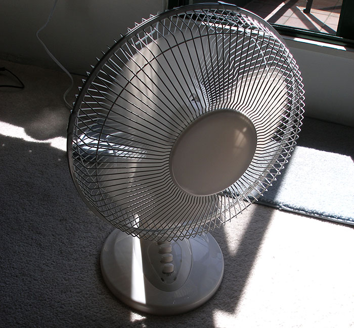 30 People Expose The Dumbest Things Their Significant Other Has Said Or Done