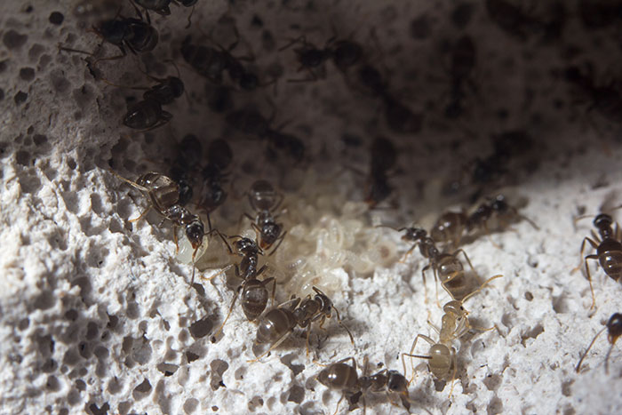 30 People Expose The Dumbest Things Their Significant Other Has Said Or Done