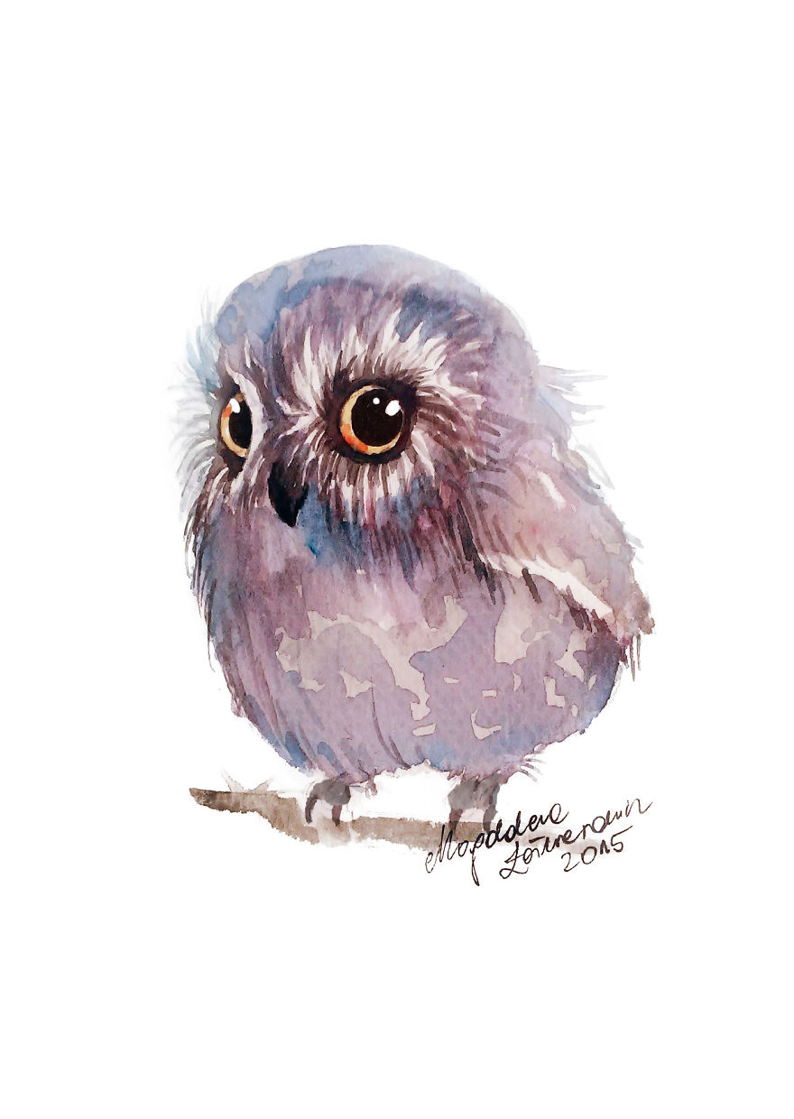 I Paint Tiny, Cute Owls On A Daily Basis And Can't Stop (17 Illos)