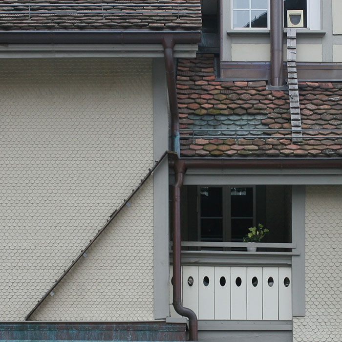 Photographer Documents The Phenomenon Of Cat Ladders In Switzerland (22 Pics)