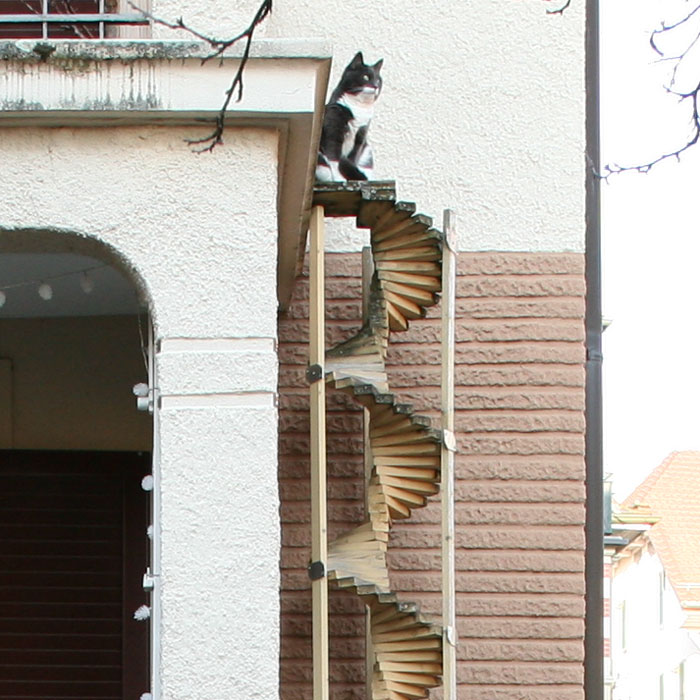 Photographer Documents The Phenomenon Of Cat Ladders In Switzerland (22 Pics)