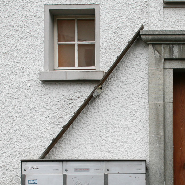 Photographer Documents The Phenomenon Of Cat Ladders In Switzerland (22 Pics)