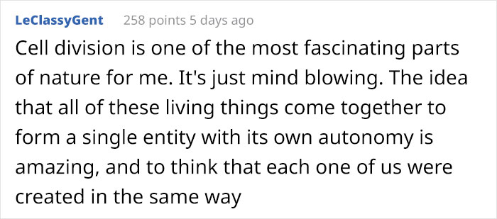 People Are Captivated By This Timelapse Of A Single Cell Becoming An Organism